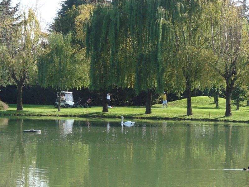 Appartamento CERNUSCO SUL NAVIGLIO affitto  Cernusco sul Naviglio  Generalbrokers s.r.l.